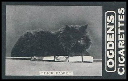182 Dick Fawe